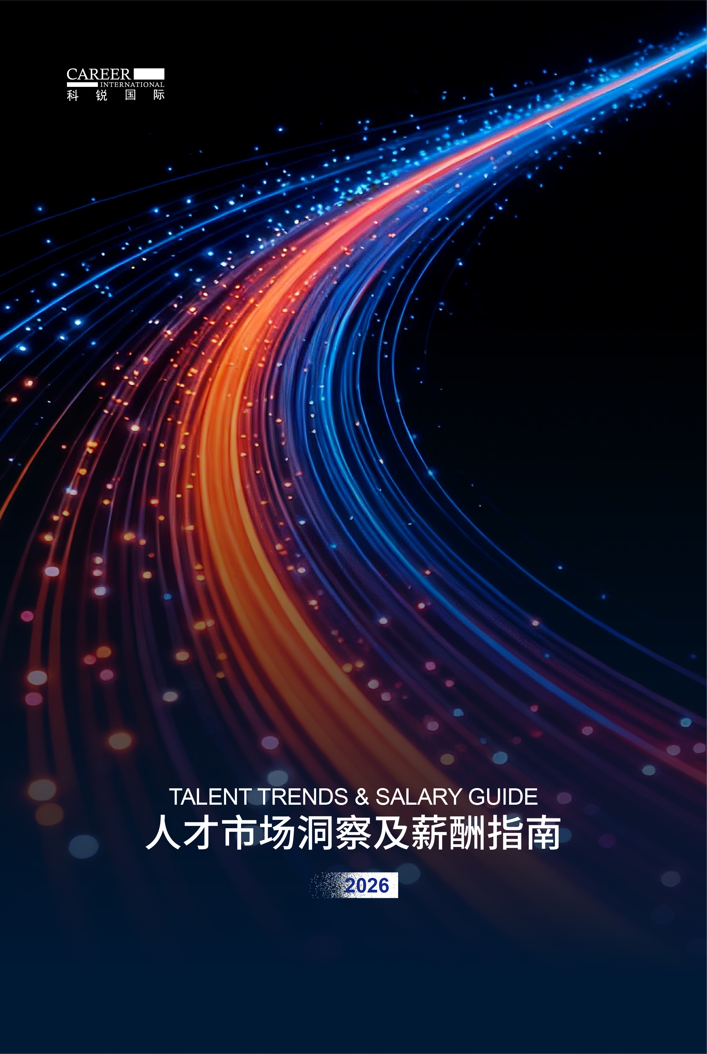 2026楚兴国盛国际人才市场洞察及薪酬指南